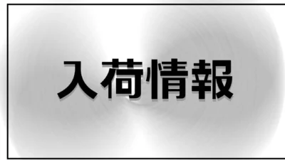 京商株式会社　【京商オンラインショップ入荷情報】NEW ミニッツ4×4 新製品 入荷しました！