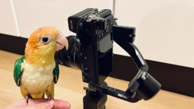 株式会社セキド　スタッフが使ってみました「最新スタビライザー DJI RS 3 Mini の使い方！バランス調整の方法を紹介します。」を公開