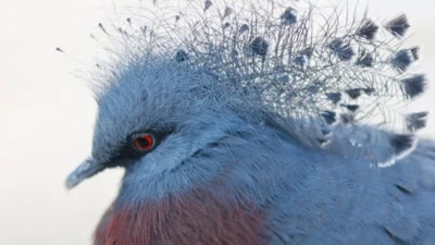 株式会社セキド　スタッフが使ってみました「PGYTECHのカメラストラップで撮る楽しさ爆上がり！これはもうめちゃめちゃ撮るしかないな」を公開