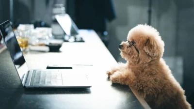 株式会社セキド　ドローンのルール・許可申請「ドローンの飛行許可・承認を国土交通省から取得するには？実際にDJI Mavic 3 Proで「包括申請」やってみた。」を公開