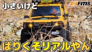 RC sariaiai　■とても全長20cmとは思えないラジコンクローラーの走りがこちら / FMS FCX-24M LAND ROVER DISCOVERY 1:24 RTR