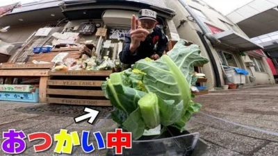 ラジコン料理☆らじくっく☆Radio Control Cooking Channel　■【おつかい】ラジコンに「ロマネスコ」買いに行かせた末路www