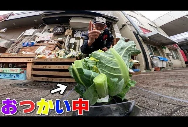 ラジコン料理☆らじくっく☆Radio Control Cooking Channel　■【おつかい】ラジコンに「ロマネスコ」買いに行かせた末路www